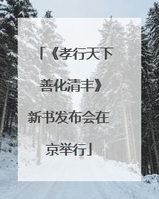 《孝行天下 善化清丰》新书发布会在京举行