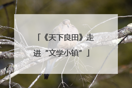 《天下良田》走进“文学小镇”