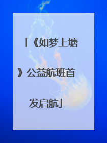 《如梦上塘》公益航班首发启航