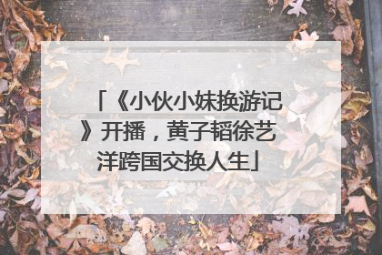 《小伙小妹换游记》开播，黄子韬徐艺洋跨国交换人生