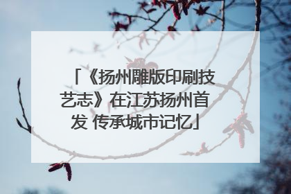 《扬州雕版印刷技艺志》在江苏扬州首发 传承城市记忆