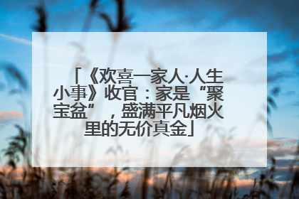 《欢喜一家人·人生小事》收官：家是“聚宝盆”，盛满平凡烟火里的无价真金