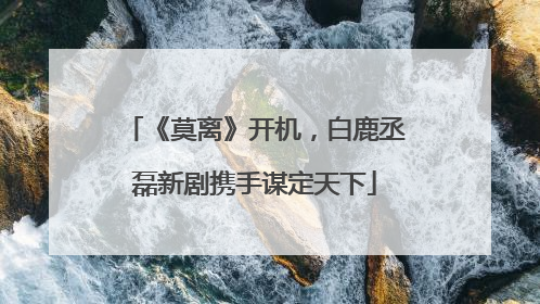 《莫离》开机，白鹿丞磊新剧携手谋定天下