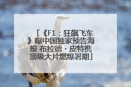 《F1：狂飙飞车》曝中国独家预告海报 布拉德・皮特携顶级大片燃爆暑期