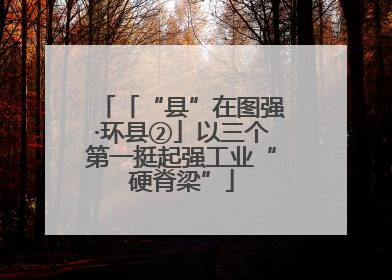 「“县”在图强·环县②」以三个第一挺起强工业“硬脊梁”