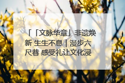 「文脉华章」非遗焕新 生生不息｜漫步六尺巷 感受礼让文化浸润的“巷”往生活