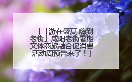 「游在盛夏 嗨到老街」咸阳老街暑期文体商旅融合促消费活动周预告来了！