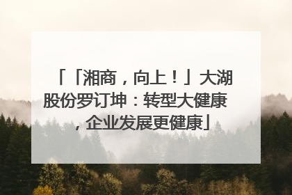 「湘商，向上！」大湖股份罗订坤：转型大健康，企业发展更健康
