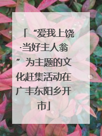 “爱我上饶·当好主人翁”为主题的文化赶集活动在广丰东阳乡开市