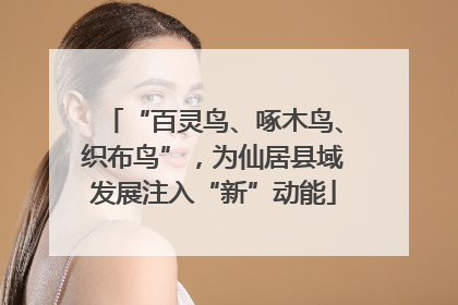 “百灵鸟、啄木鸟、织布鸟”，为仙居县域发展注入“新”动能