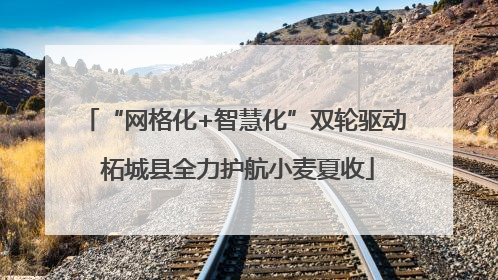 “网格化+智慧化”双轮驱动 柘城县全力护航小麦夏收