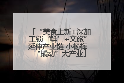“美食上新+深加工锁‘鲜’+文旅”延伸产业链 小杨梅“撬动”大产业