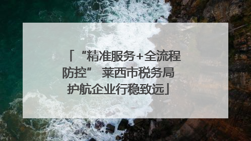 “精准服务+全流程防控” 莱西市税务局护航企业行稳致远