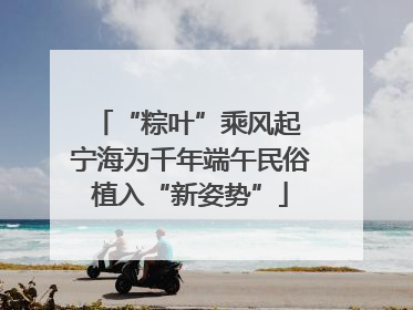 “粽叶”乘风起 宁海为千年端午民俗植入“新姿势”