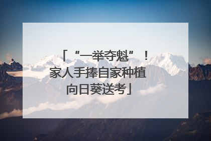 “一举夺魁”！家人手捧自家种植向日葵送考