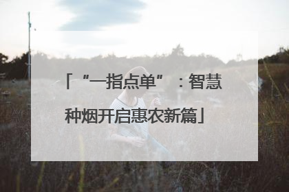 “一指点单”：智慧种烟开启惠农新篇