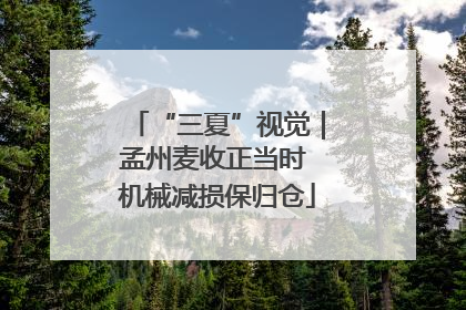 “三夏”视觉｜孟州麦收正当时 机械减损保归仓