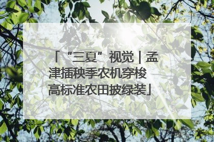 “三夏”视觉｜孟津插秧季农机穿梭 高标准农田披绿装
