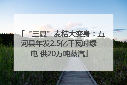 “三夏”麦秸大变身：五河县年发2.5亿千瓦时绿电 供20万吨蒸汽