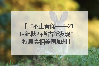 “不止秦俑——21世纪陕西考古新发现”特展亮相美国加州
