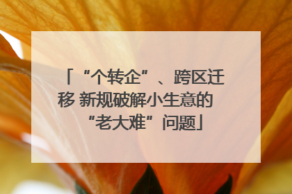 “个转企”、跨区迁移 新规破解小生意的“老大难”问题