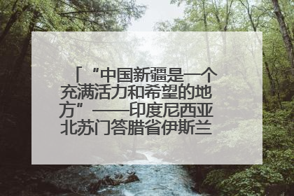 “中国新疆是一个充满活力和希望的地方”——印度尼西亚北苏门答腊省伊斯兰教代表团参访新疆