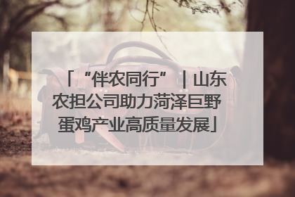 “伴农同行”｜山东农担公司助力菏泽巨野蛋鸡产业高质量发展