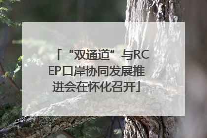 “双通道”与RCEP口岸协同发展推进会在怀化召开