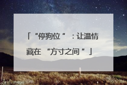 “停狗位 ”：让温情藏在 “方寸之间 ”