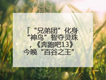 “兄弟团”化身“神鸟”智夺灵珠，《奔跑吧13》今晚“百谷之王”花落谁家？