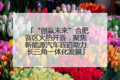 “创赢未来”合肥赛区火热开赛，聚焦新能源汽车赛道助力长三角一体化发展