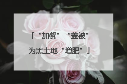 “加餐”“盖被” 为黑土地“增肥”