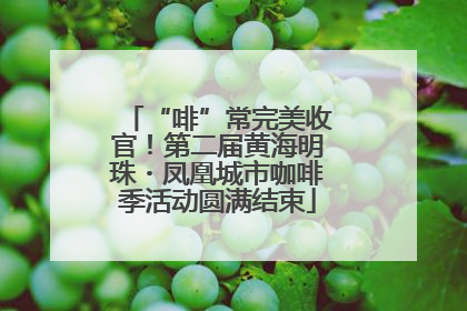 “啡”常完美收官！第二届黄海明珠・凤凰城市咖啡季活动圆满结束