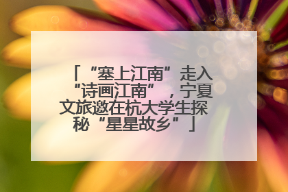 “塞上江南”走入“诗画江南”，宁夏文旅邀在杭大学生探秘“星星故乡”