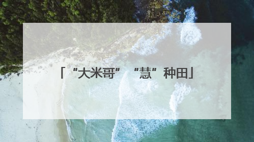 “大米哥”“慧”种田