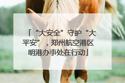 “大安全”守护“大平安”，郑州航空港区明港办事处在行动