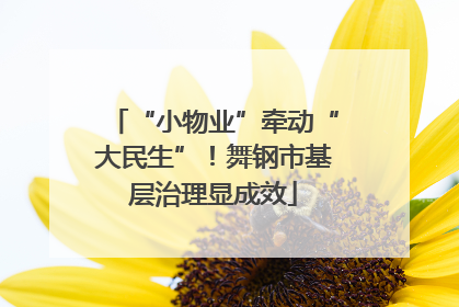 “小物业”牵动“大民生”！舞钢市基层治理显成效