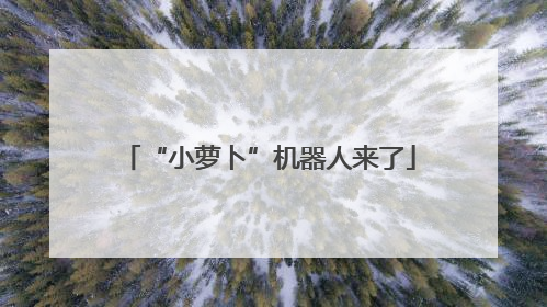 “小萝卜”机器人来了