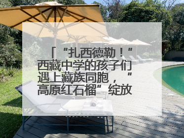 “扎西德勒！”西藏中学的孩子们遇上藏族同胞，“高原红石榴”绽放荆楚大地