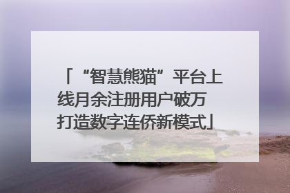 “智慧熊猫”平台上线月余注册用户破万 打造数字连侨新模式