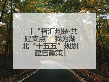 “智汇荆楚·共建支点” 我为湖北“十五五”规划建言献策