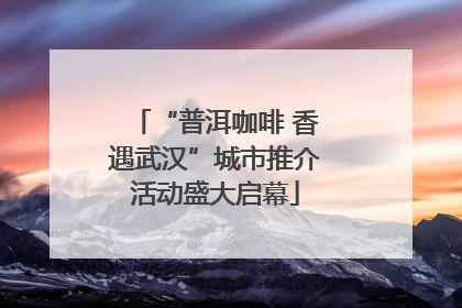 “普洱咖啡 香遇武汉”城市推介活动盛大启幕