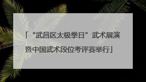 “武昌区太极拳日”武术展演暨中国武术段位考评赛举行