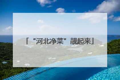 “河北净菜”靓起来