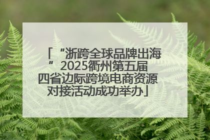 “浙跨全球品牌出海”2025衢州第五届四省边际跨境电商资源对接活动成功举办