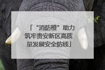 “消防橙”助力筑牢贵安新区高质量发展安全防线