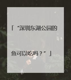 “深圳东湖公园的鱼可以吃吗？”