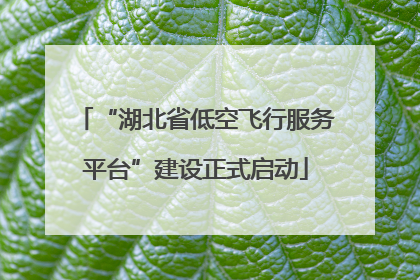 “湖北省低空飞行服务平台”建设正式启动