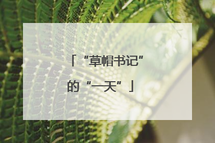 “草帽书记”的“一天”