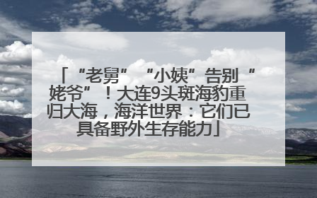 “老舅”“小姨”告别“姥爷”！大连9头斑海豹重归大海，海洋世界：它们已具备野外生存能力